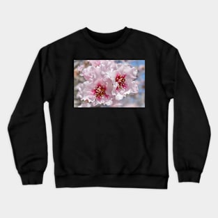 Pink Blossoms Crewneck Sweatshirt